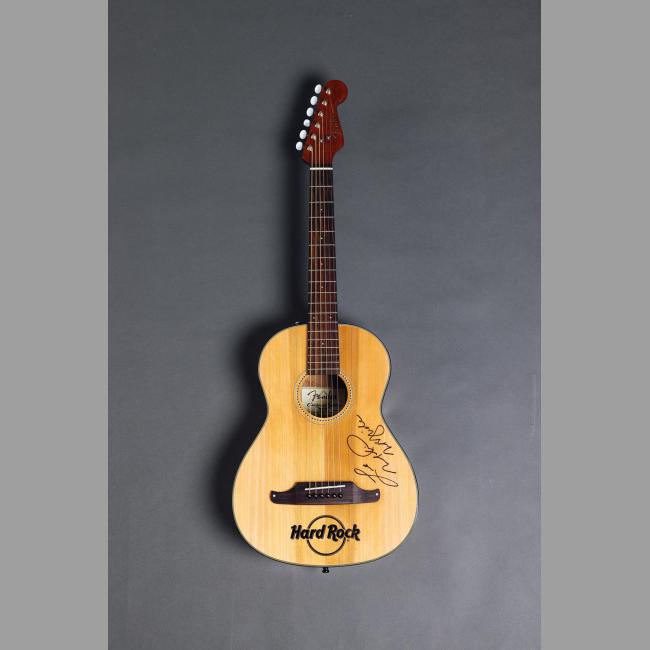 Fender Sonoran Guitar